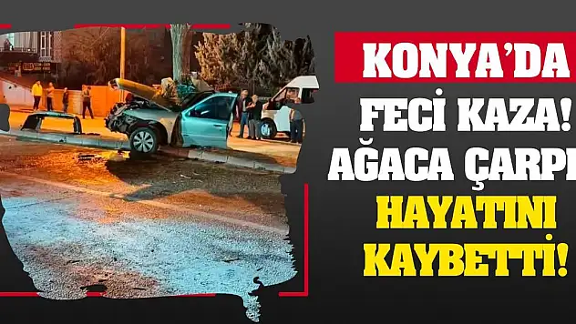 Konya'da feci kaza! Ağaca çarpıp hayatını kaybetti!