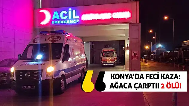 Konya'da Feci Kaza: Ağaca Çarptı, 2 Ölü!