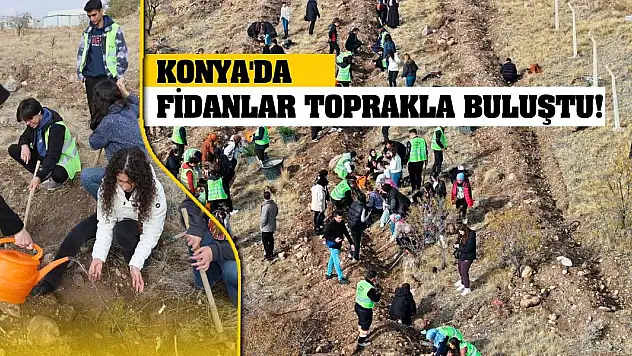Konya'da fidanlar toprakla buluştu!
