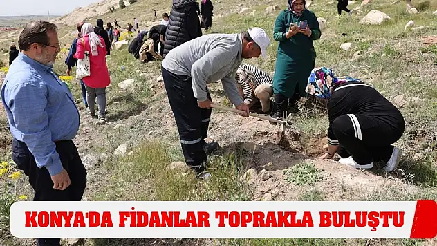 Konya'da fidanlar toprakla buluştu