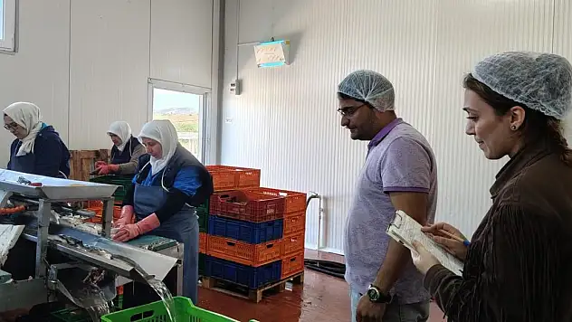 Konya'da göle kıyısı olan fabrikalar denetlendi!