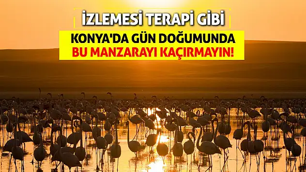 Konya'da gün doğumunda bu manzarayı kaçırmayın! Binlerce var