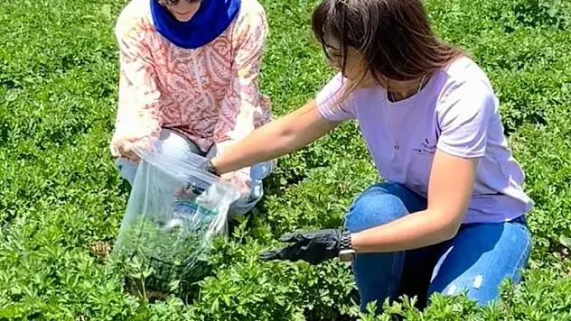 Konya'da Hasat Öncesi Büyük Tarım Taraması