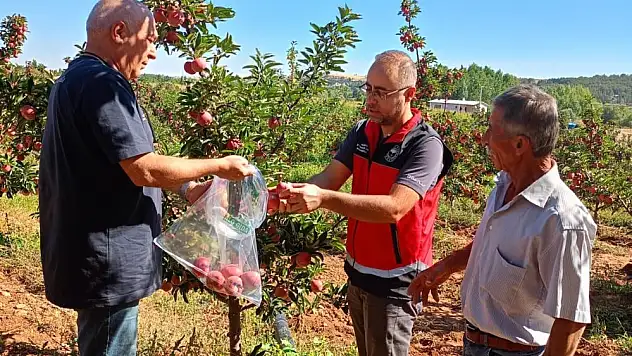 Konya'da hasat öncesi pestisit denetimleri gerçekleştirildi