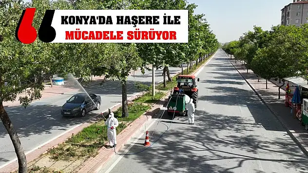 Konya'da haşere ile mücadele sürüyor
