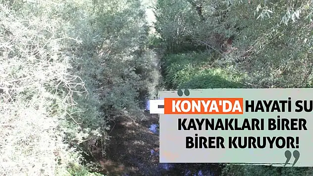 Konya'da Hayati Su Kaynakları Birer Birer Kuruyor!