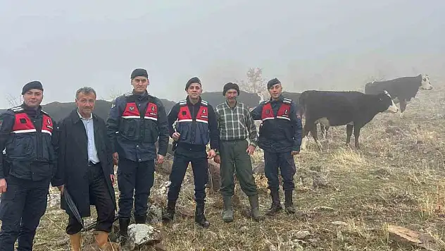 Konya'da hayvanları kaybolan kişinin imdadına jandarma yetişti!