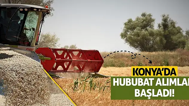 Konya'da Hububat Alımları Başladı!