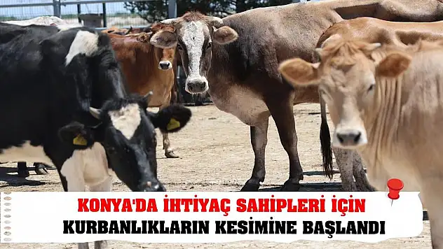Konya'da ihtiyaç sahipleri için kurbanlıkların kesimine başlandı