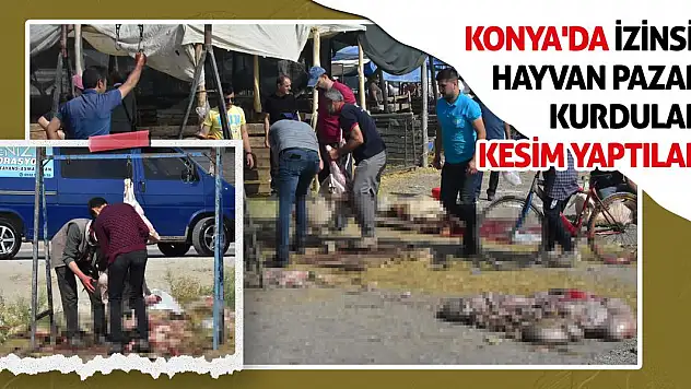 Konya'da İzinsiz Hayvan Pazarı Kurdular! Kesim Yaptılar!