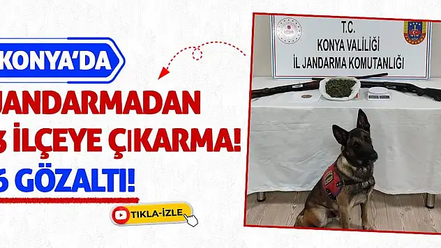 Konya'da Jandarmadan 3 İlçeye Çıkarma! 6 Gözaltı!