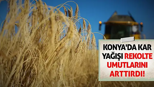Konya'da kar yağışı rekolte umutlarını arttırdı!