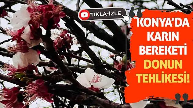 Konya'da Karın Bereketi ve Donun Tehlikesi!