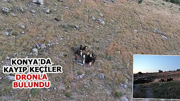 Konya'da kayıp keçiler dronla bulundu