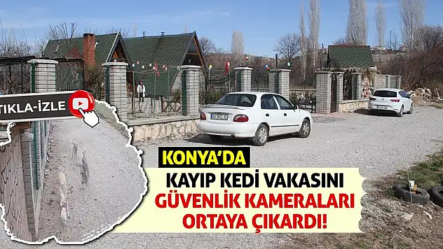 Konya'da Kayıp Kedi Vakasını Güvenlik Kameraları Ortaya Çıkardı!