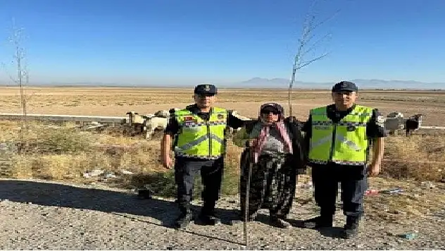 Konya'da kayıp küçükbaş hayvanları jandarma buldu