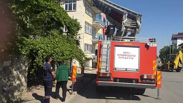 Konya'da kedi kurtarma operasyonu! İtfaiye seferber oldu!