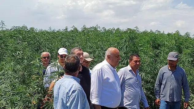 Konya'da kenevir için sanayi altyapı tesis kurulacak