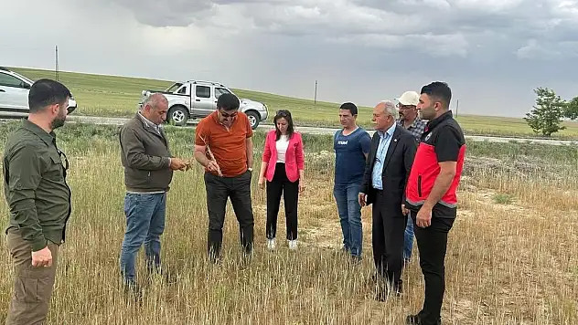 Konya'da kıraç arazilerde hasat yapılamayacak