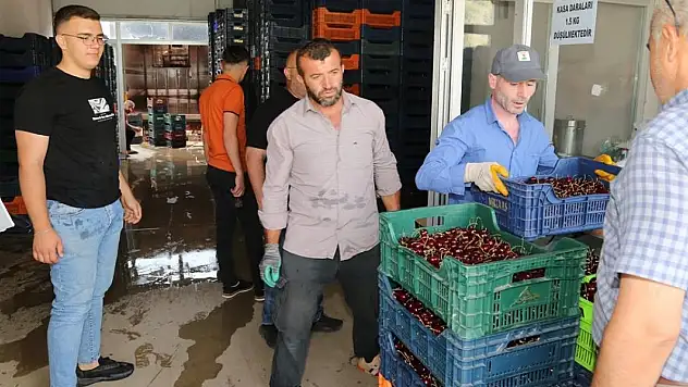 Konya'da kiraz alım merkezinde denetim yapıldı