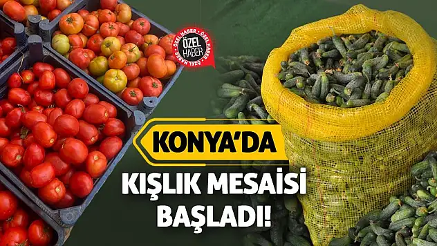 Konya'da Kışlık Mesaisi Başladı!