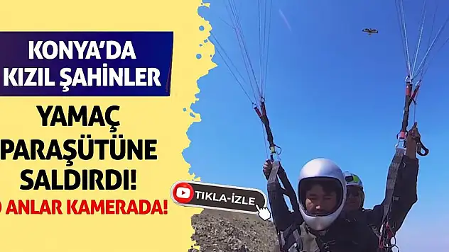 Konya'da Kızıl Şahinler Yamaç Paraşütüne Saldırdı! O Anlar Kamerada...