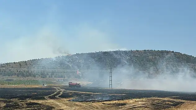 Konya'da Kontrolden Çıkan Anız Yangını Ormana Sıçradı!