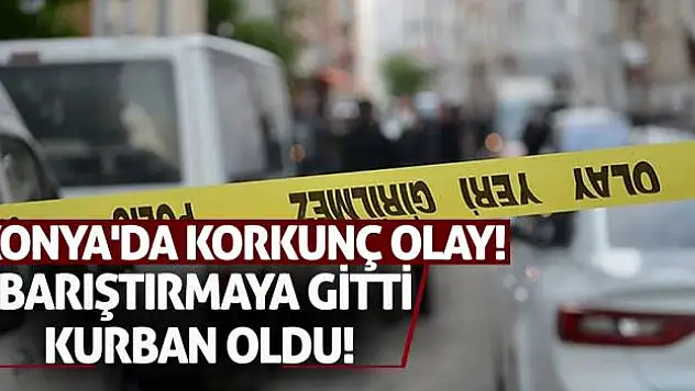 Konya'da Korkunç Olay! Barıştırmaya Gitti, Kurban Oldu!