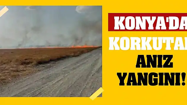 Konya'da Korkutan Anız Yangını!