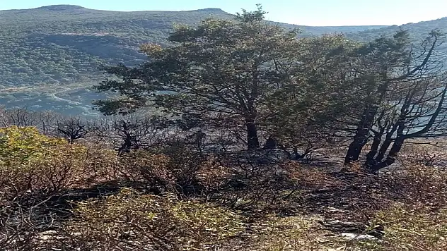 Konya'da korkutan yangın kontrol altına alındı!