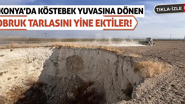 Konya'da Köstebek Yuvasına Dönen Obruk Tarlasını Yine Ektiler!