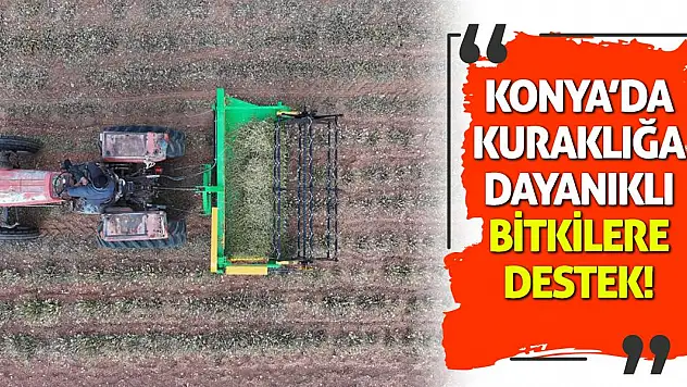 Konya'da Kuraklığa Dayanıklı Bitkilere Destek!