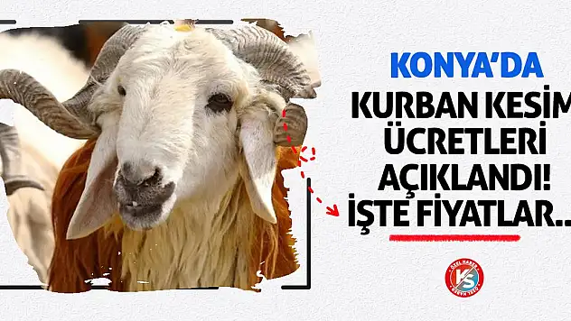 Konya'da Kurban Kesim Ücretleri Açıklandı! İşte Fiyatlar