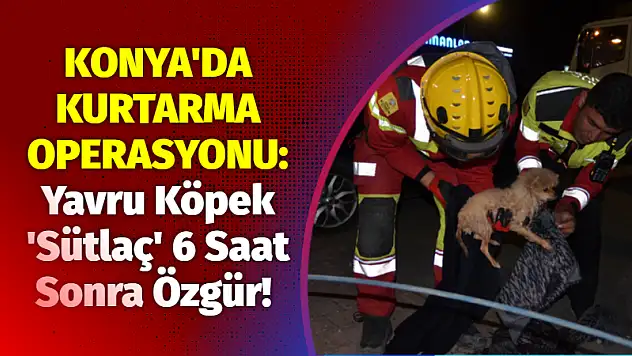 Konya'da Kurtarma Operasyonu: Yavru Köpek 'Sütlaç' 6 Saat Sonra Özgür!