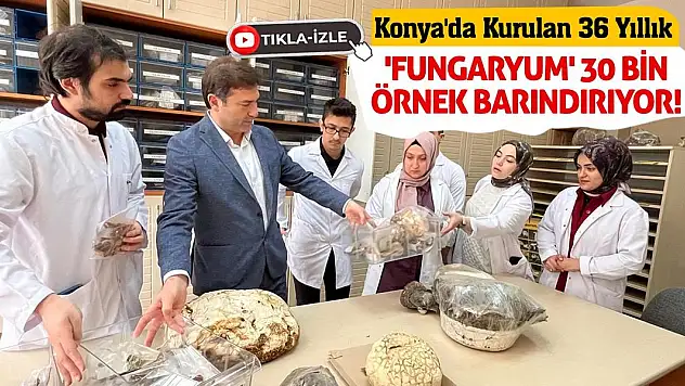 Konya'da Kurulan 36 Yıllık 'Fungaryum' 30 Bin Örnek Barındırıyor!