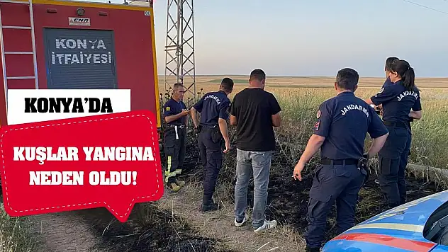 Konya'da kuşlar yangına neden oldu!