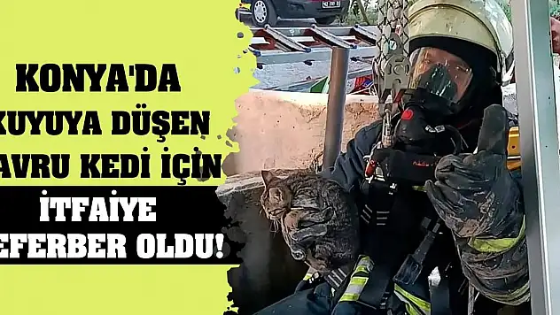 Konya'da kuyuya düşen yavru kedi için itfaiye seferber oldu!