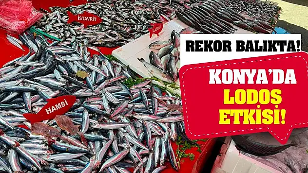 Konya'da Lodos Etkisi! Rekor Balıkta!