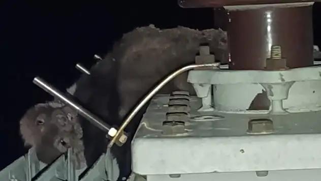 Konya'da mahalledeki elektrik kesintisinin sebebi şok etti!