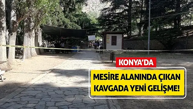 Konya'da mesire alanında çıkan kavgada yeni gelişme!