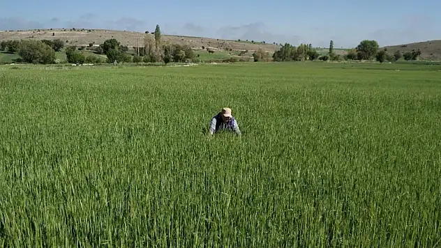 Konya'da meyve bahçeleri sıkı takipte