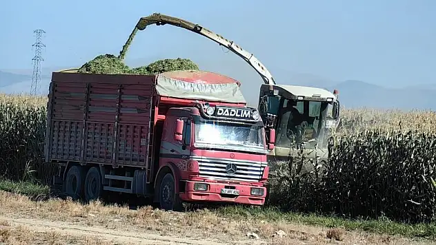 Konya'da  mısır hasadı başladı