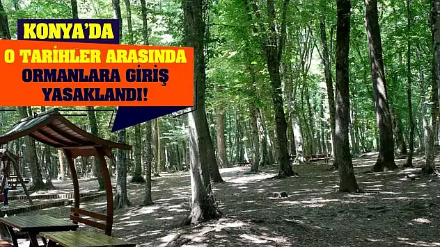 Konya'da o tarihler arasında ormanlara giriş yasaklandı!