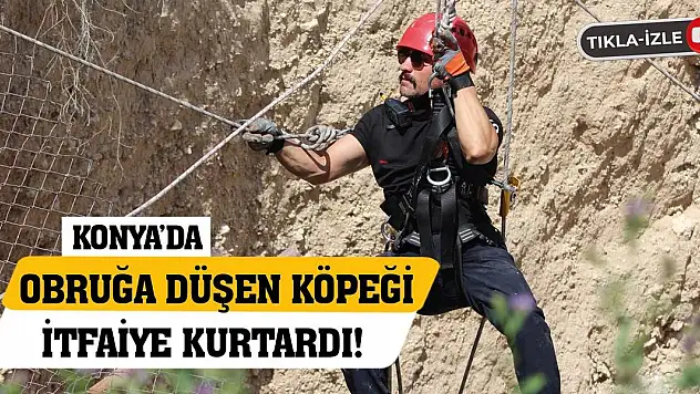 Konya'da obruğa düşen köpeği itfaiye kurtardı