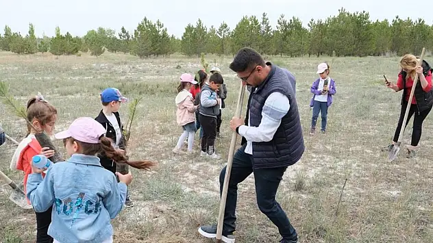 Konya'da öğrenciler 'İlk Sınıfım, İlk Fidanım' projesiyle çam dikti