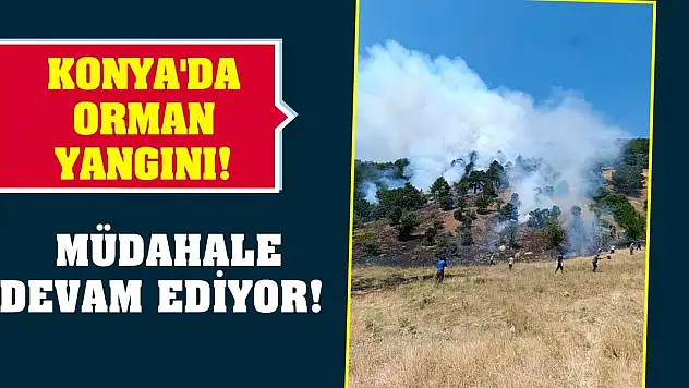 Konya'da orman yangını! Müdahale devam ediyor!
