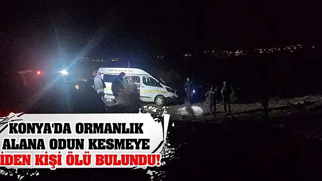 Konya'da ormanlık alana odun kesmeye giden kişi ölü bulundu!