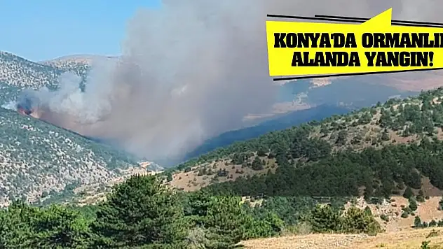 Konya'da ormanlık alanda yangın!