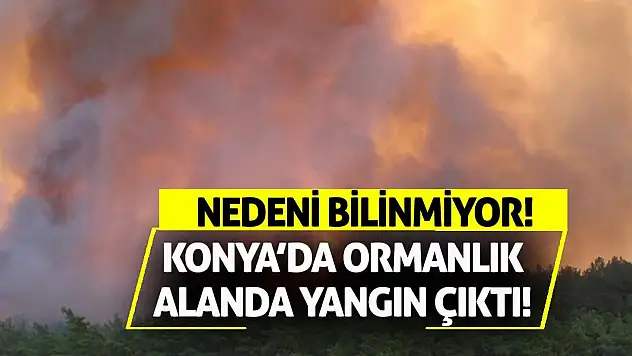 Konya'da ormanlık alanda yangın çıktı! Nedeni bilinmiyor!