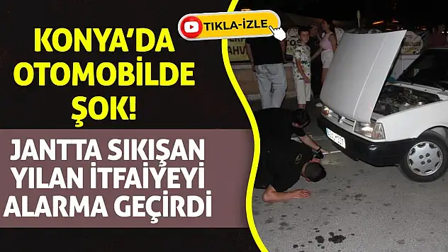 Konya'da Otomobilde Şok! Jantta Sıkışan Yılan İtfaiyeyi Alarma Geçirdi